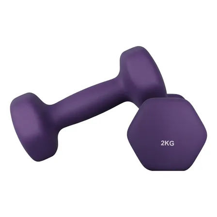 Imagem da oferta Songmics Par de Halteres Emborrachados 2kg para Musculação Fitness Academia Cor Violeta-escuro