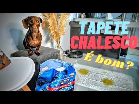 Tapete higiênico Chalesco 60x90: minha opinião real